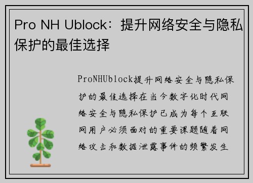 Pro NH Ublock：提升网络安全与隐私保护的最佳选择